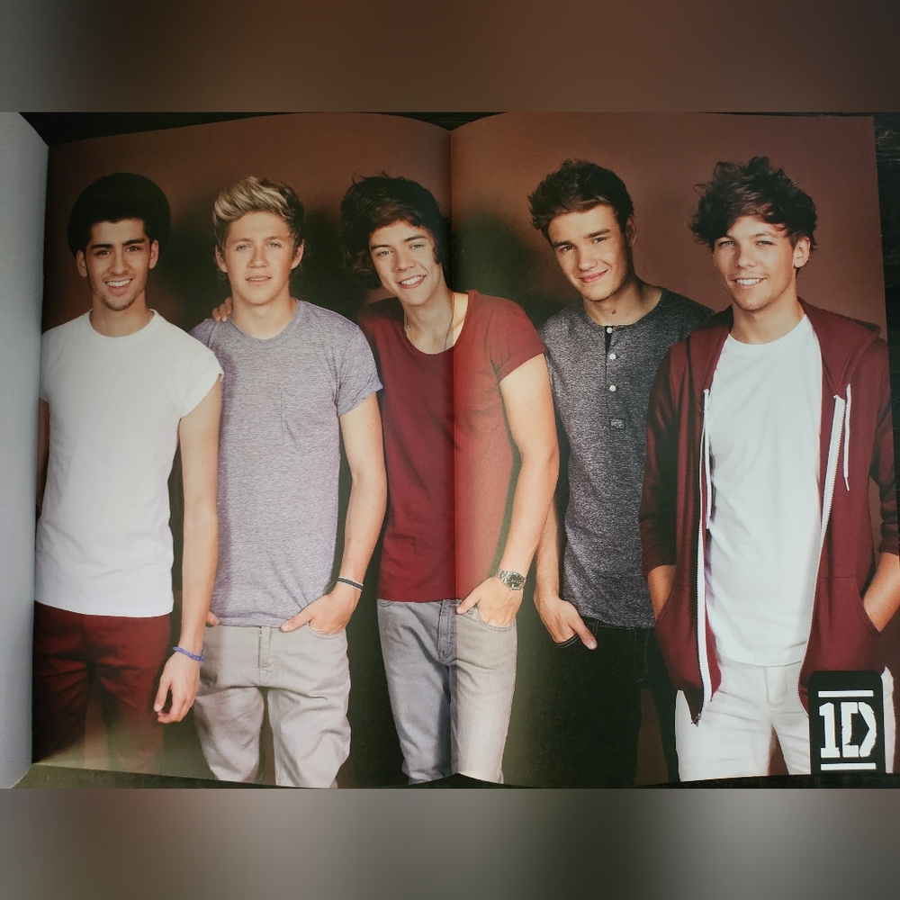 One Direction Ultimate Fan Book - Picture 11 of 16